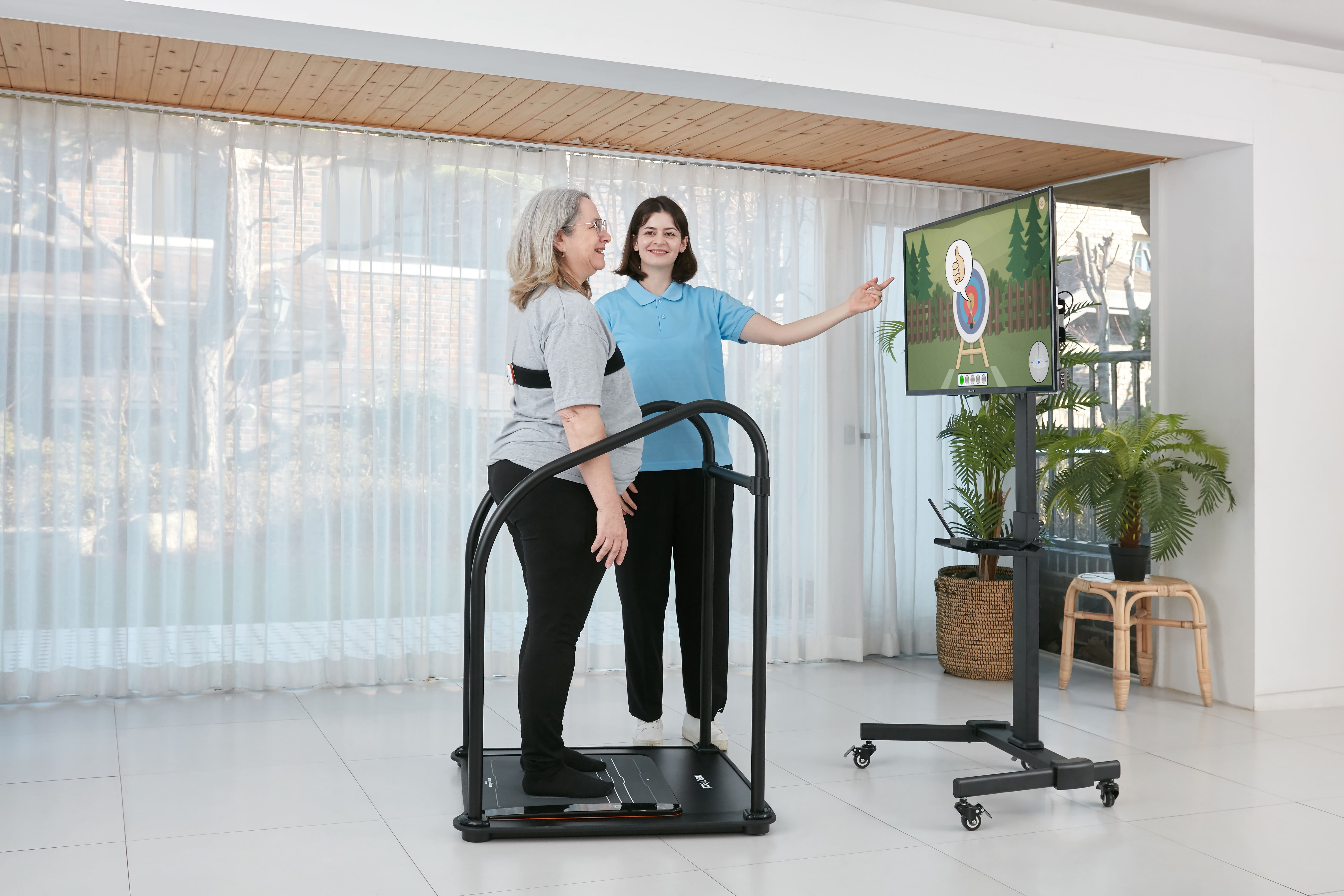 Therapists and Patients Looking at Smart Balance