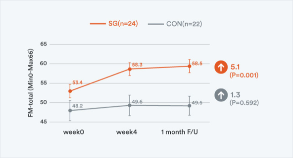 Fugl Meyer assessment